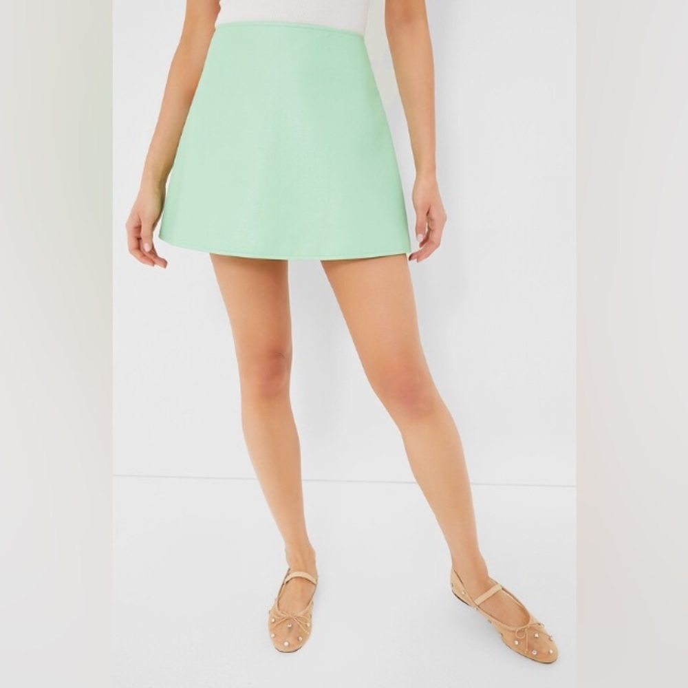 Tuckernuck Women's Mint Chip Leather Meg Mini Skirt, Size Small
